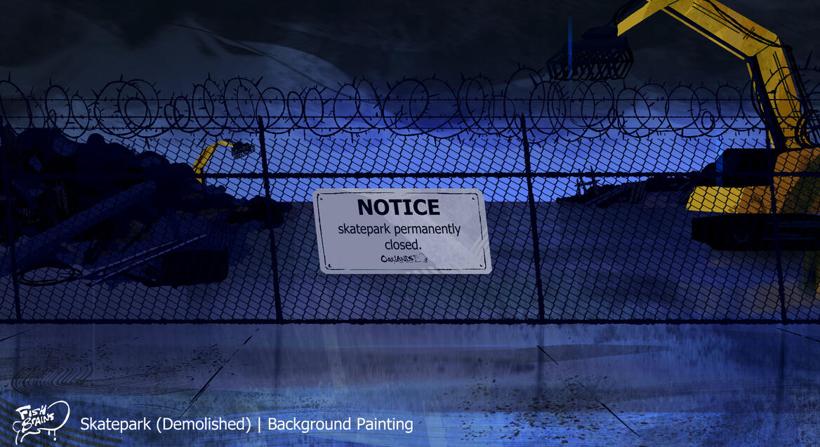 skatepark demolished